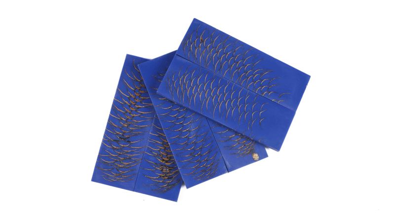 Manche pigne de pin stabilisée - Multi couleur - Made in France - création originale