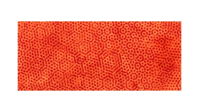 Inclusionjunction plate