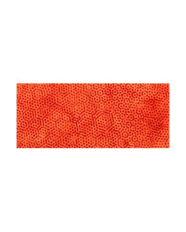 Plaque inclusionjungle