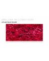 Plaque abalone incluse : Atlantique rouge
