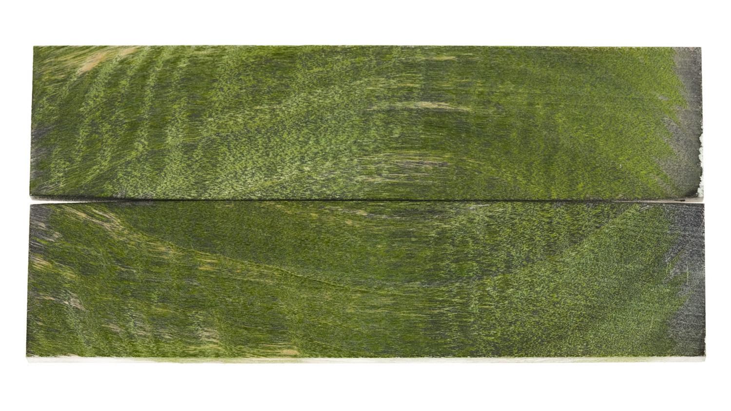 24040276
