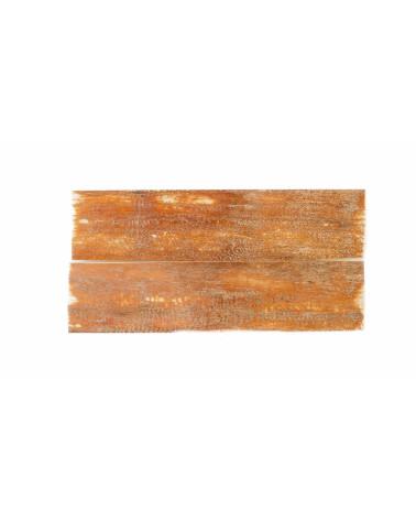 25020041