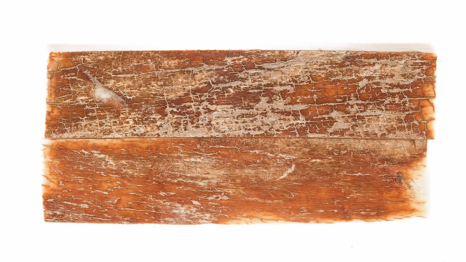 25020074