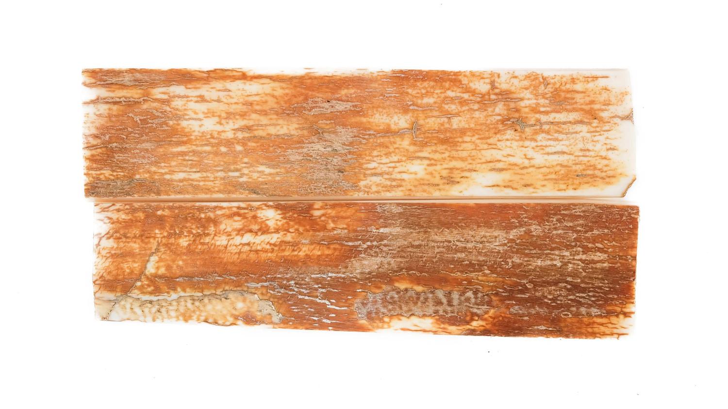 25020091