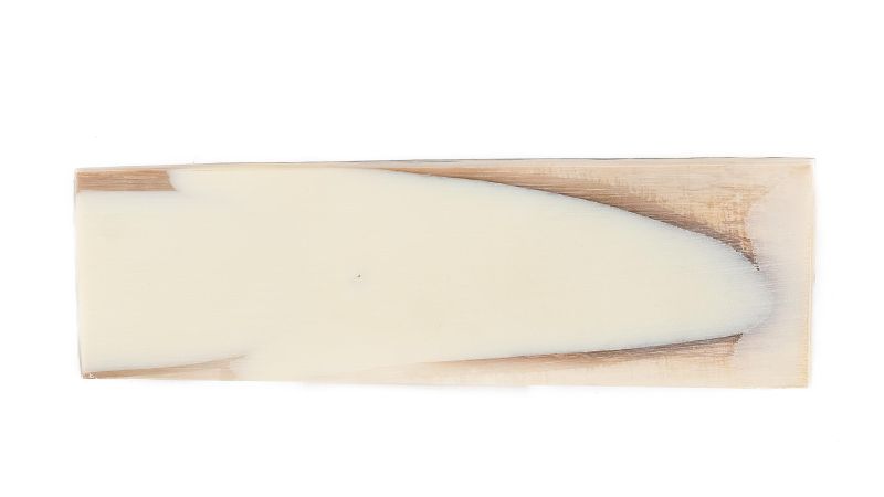 25020096