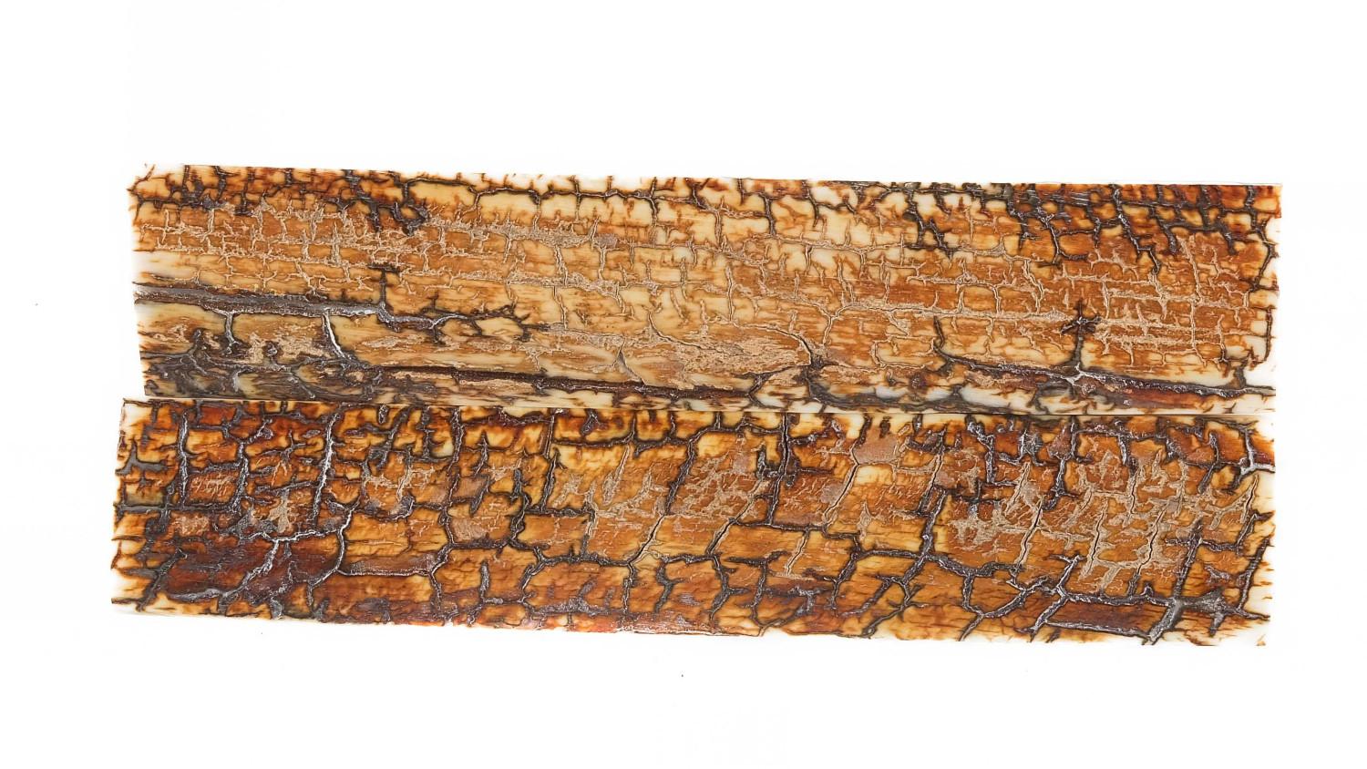 25020101