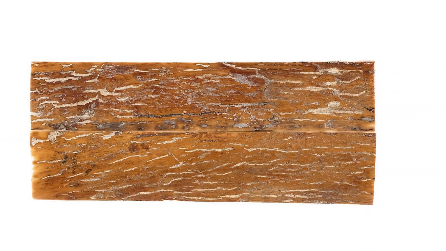 25020119