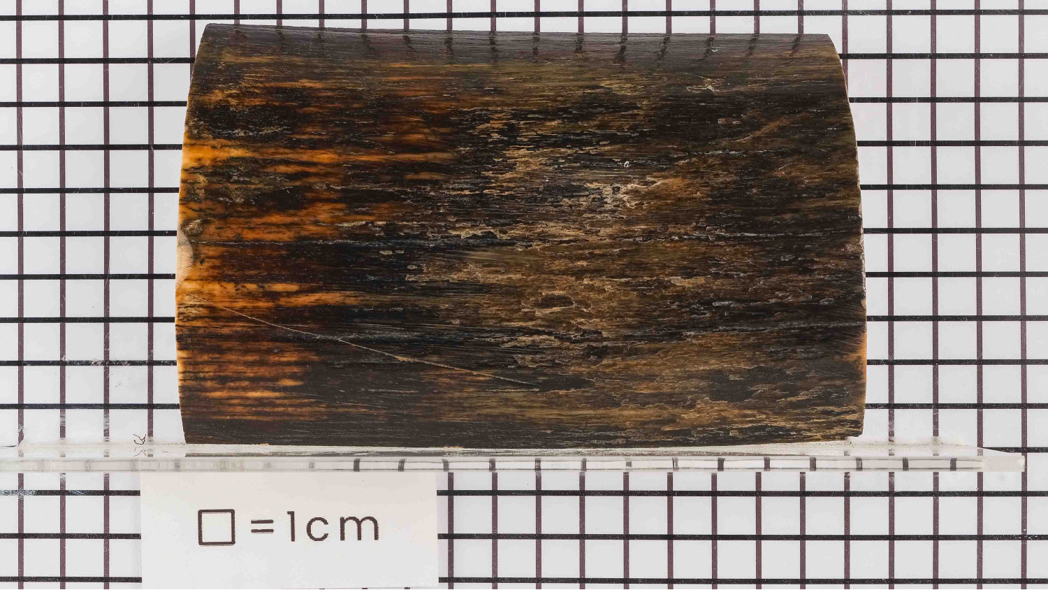 25040147