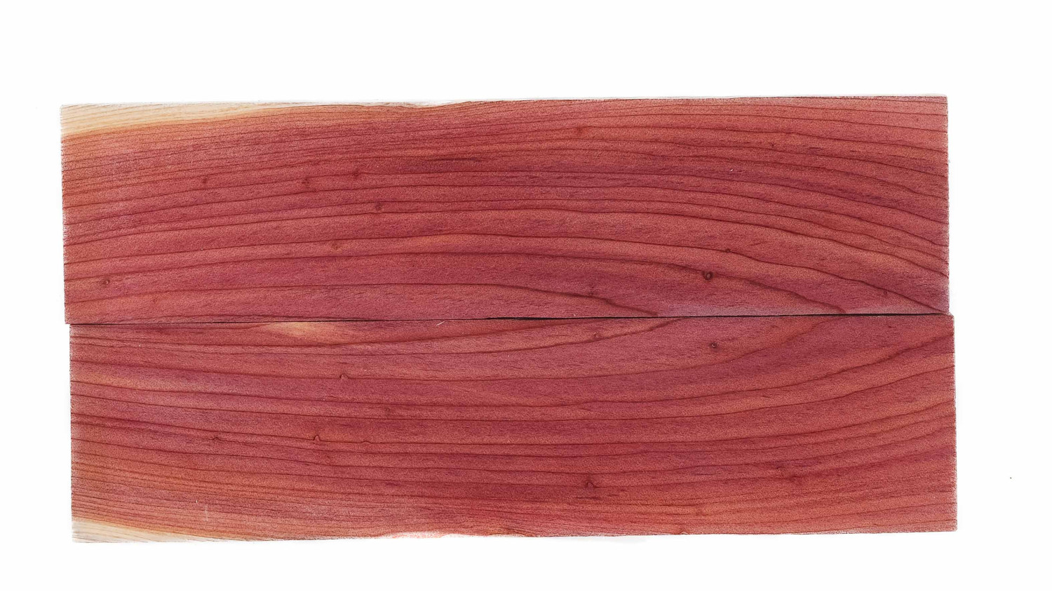 25040087