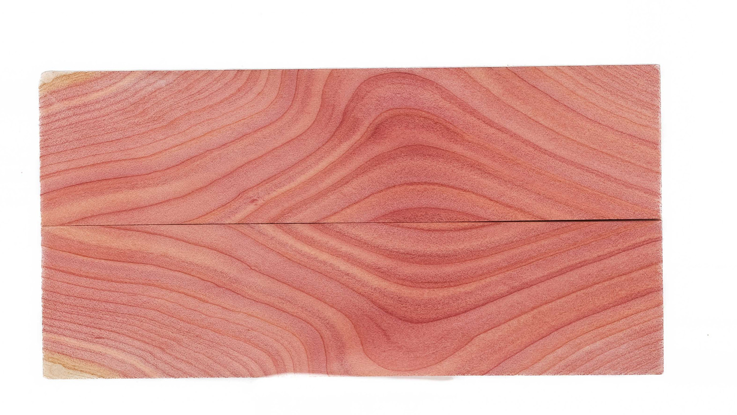 25040091