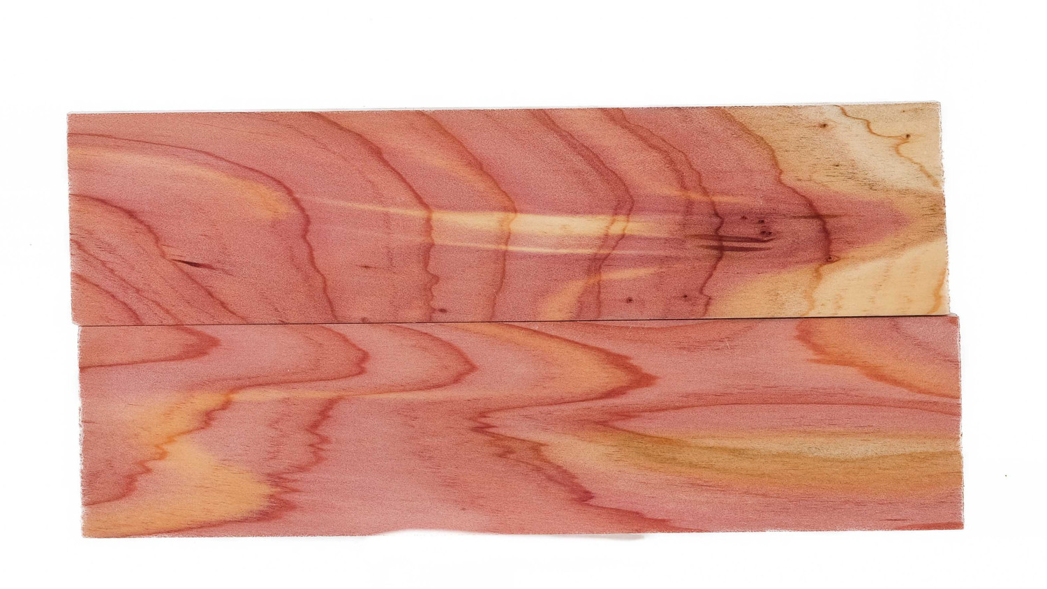 25040095