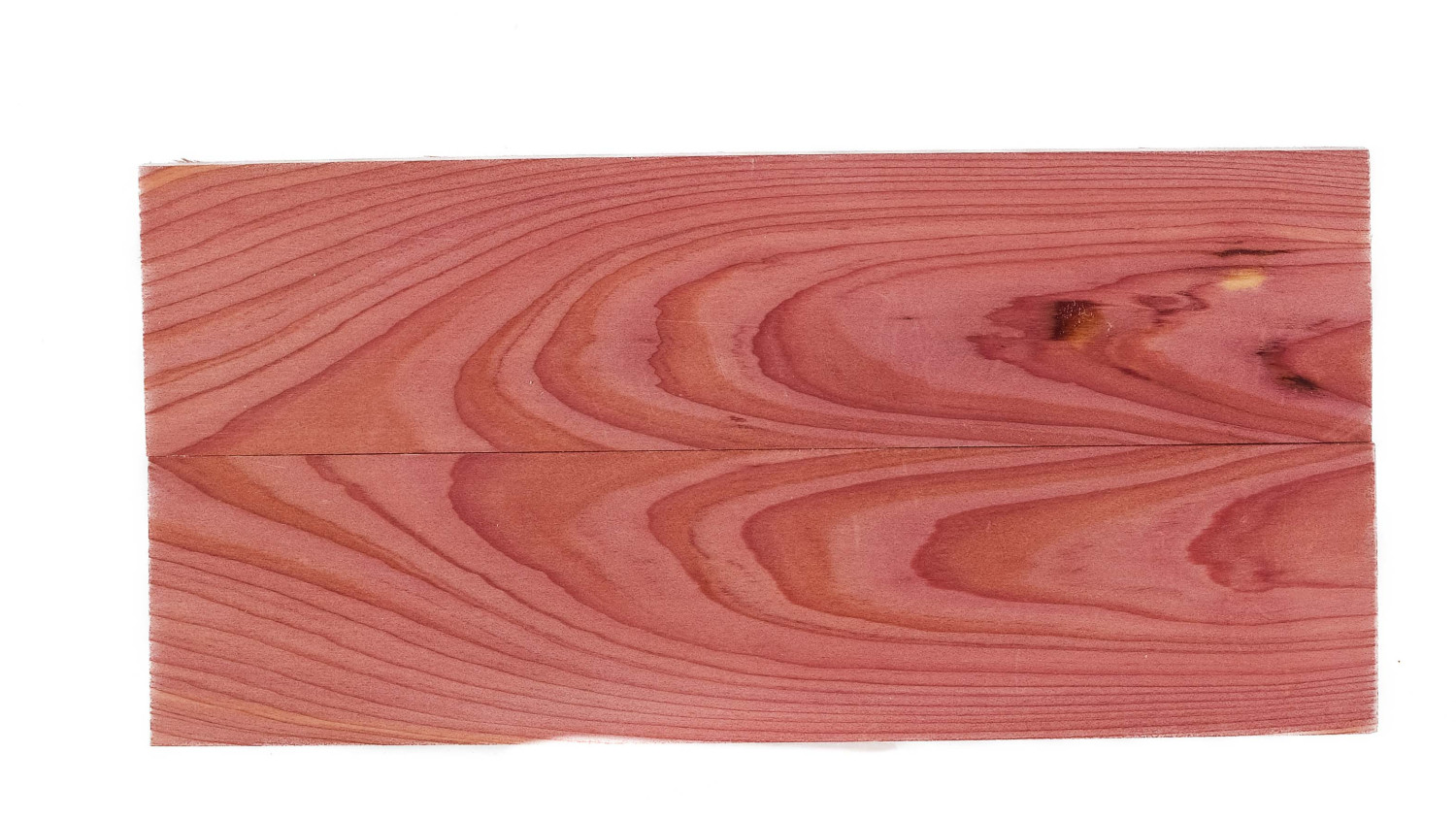25040096