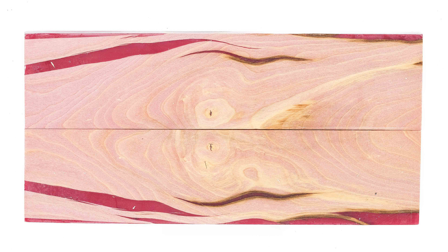 25050081