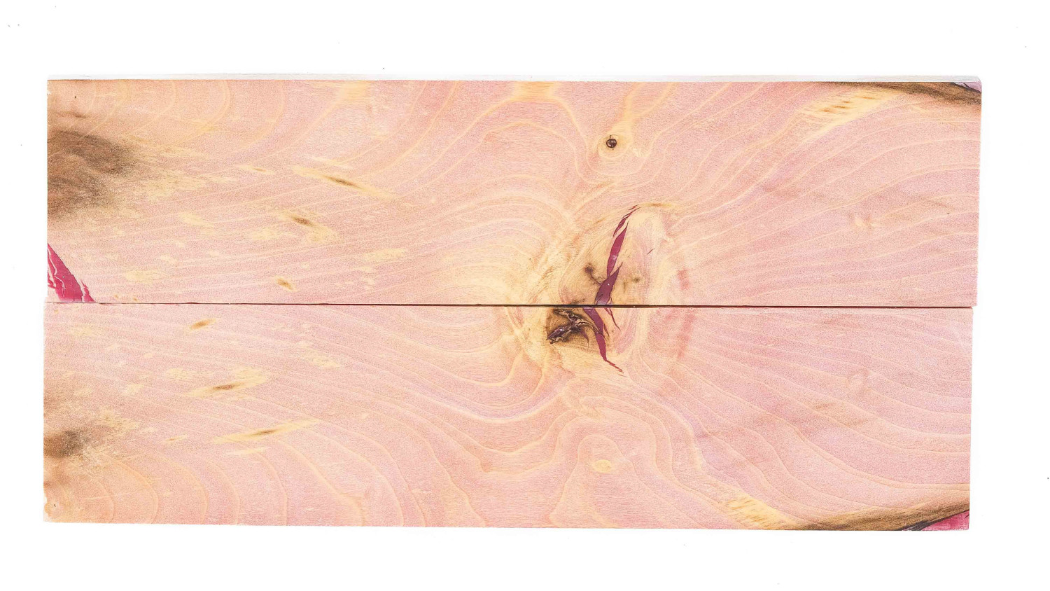 25050083