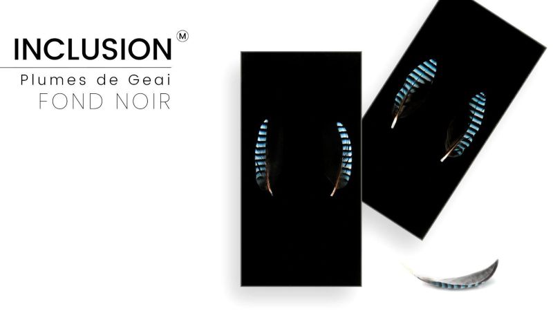 Superior Quality Real Jay Feather - PMMA Resin - Made in France