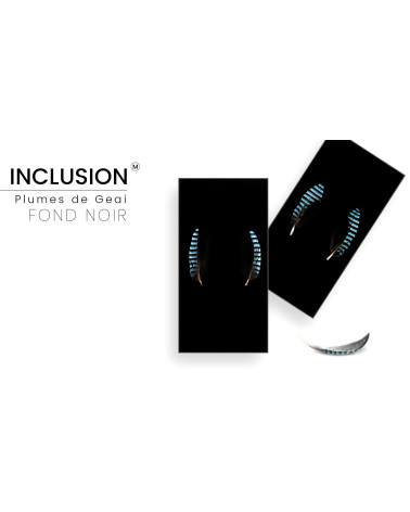 Plume de geai véritable qualité supérieure - Résine PMMA - made in France