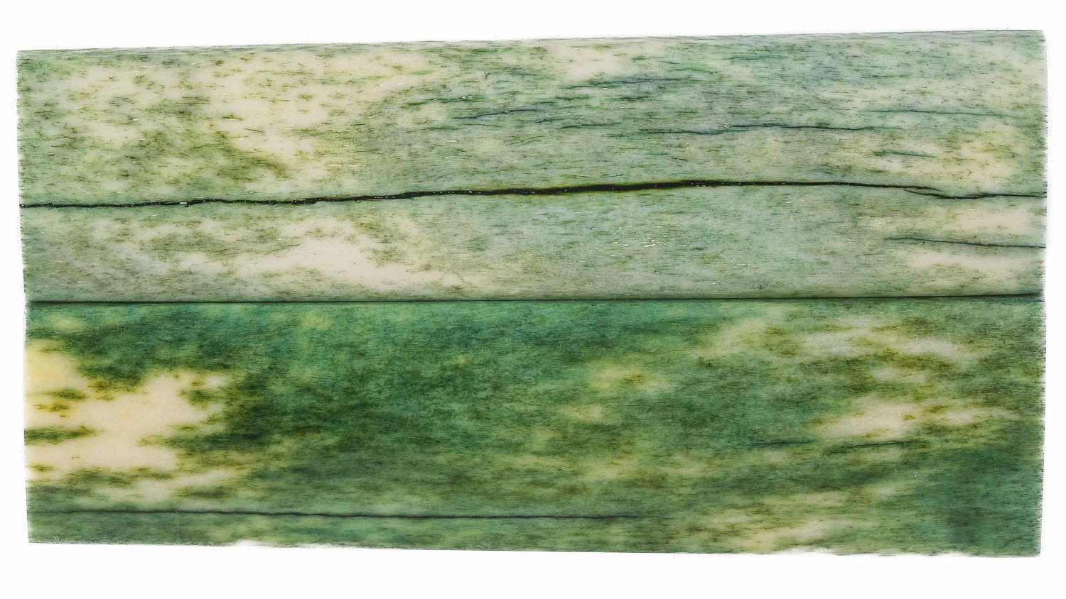 25070119