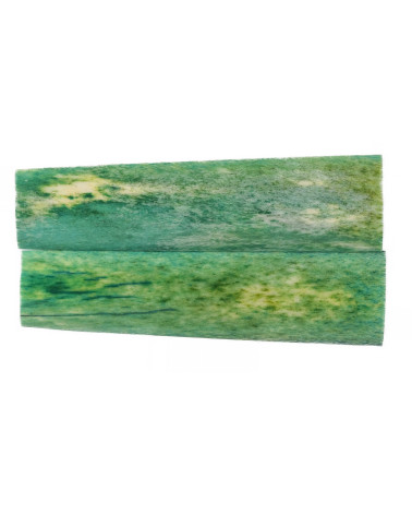 25070120