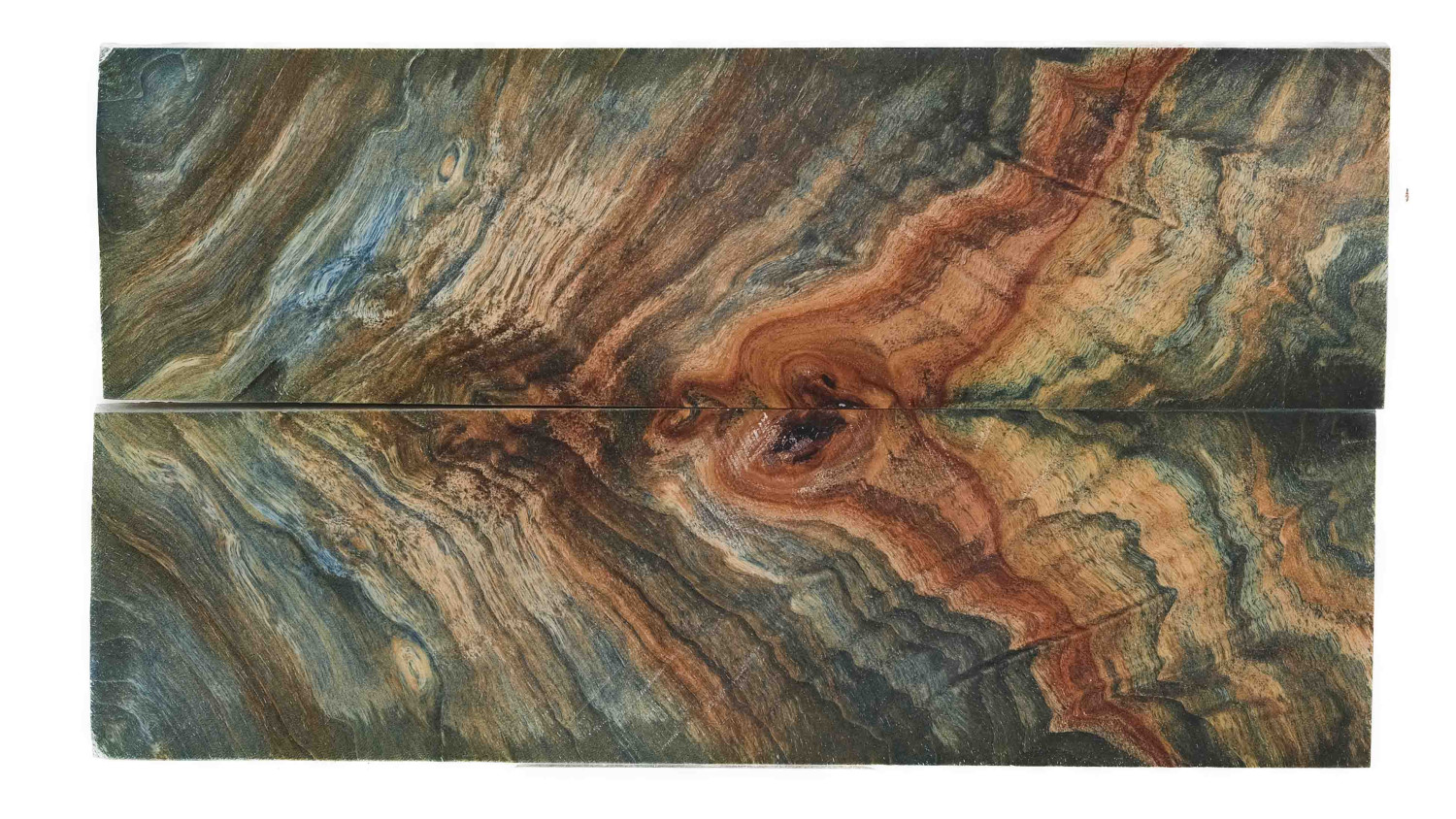 25070047