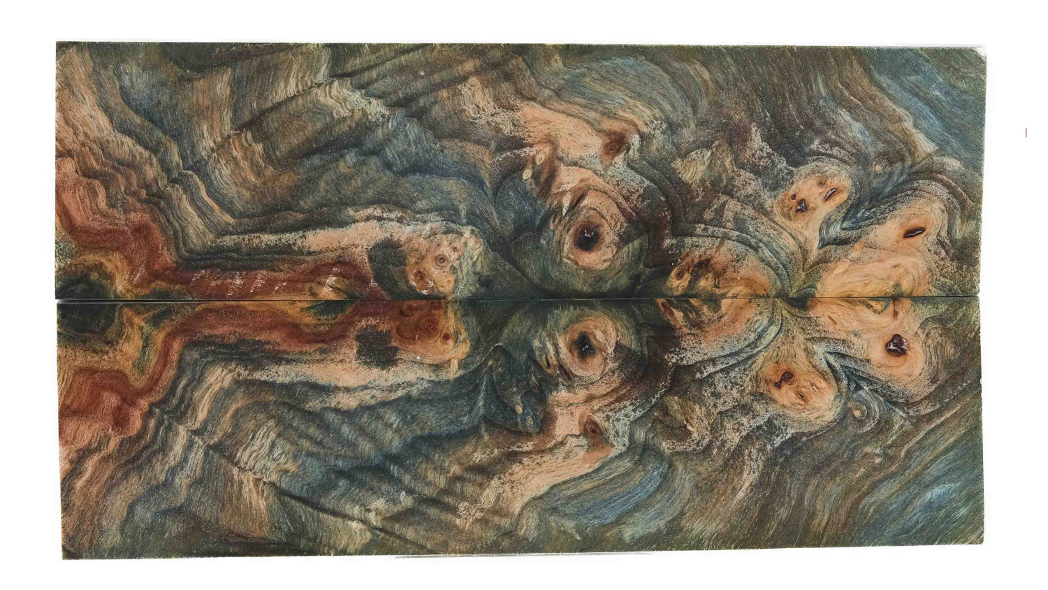 25070048