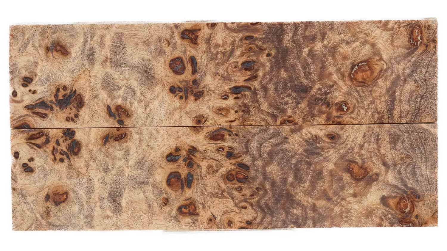 25070053