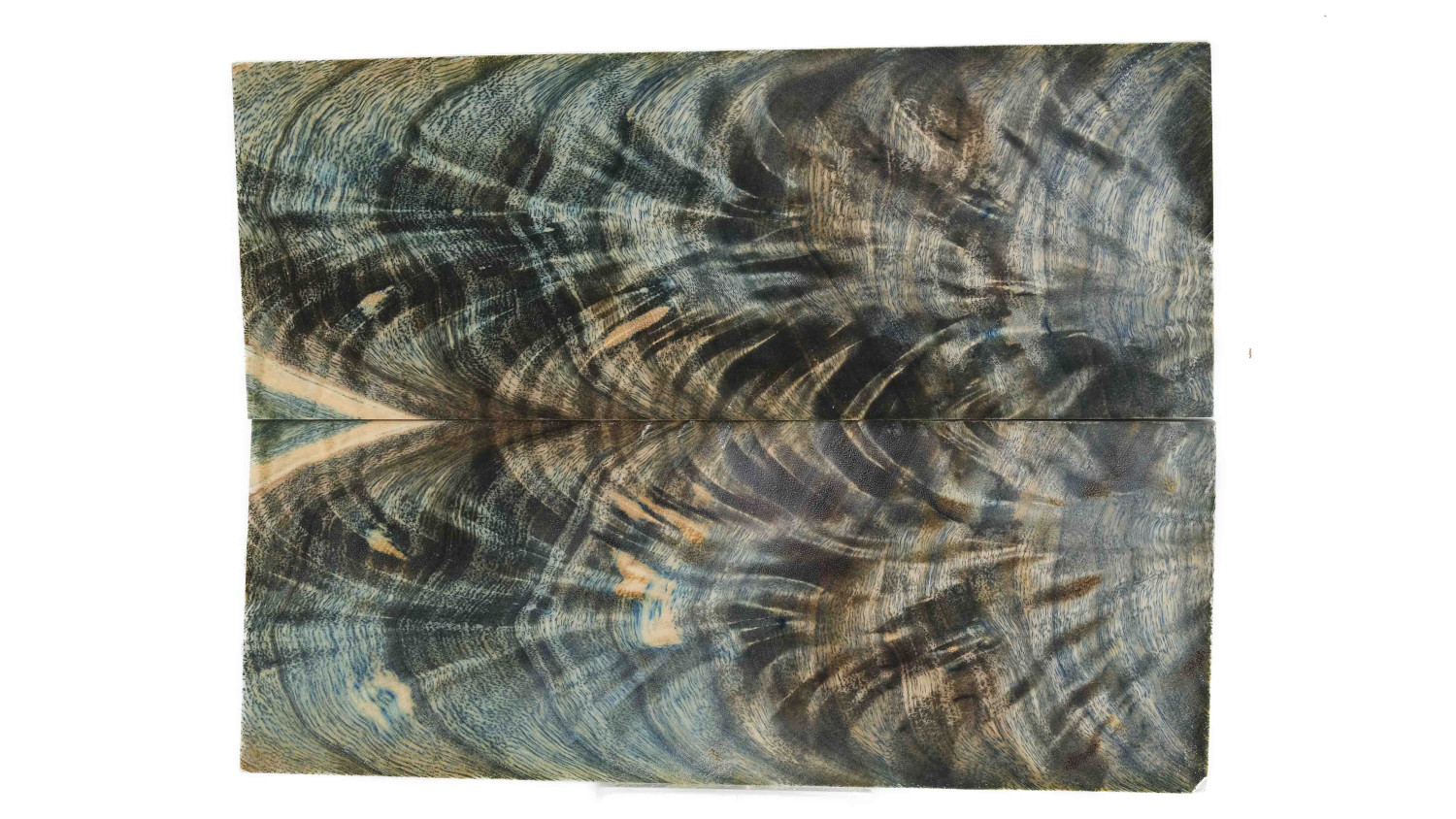 25070006