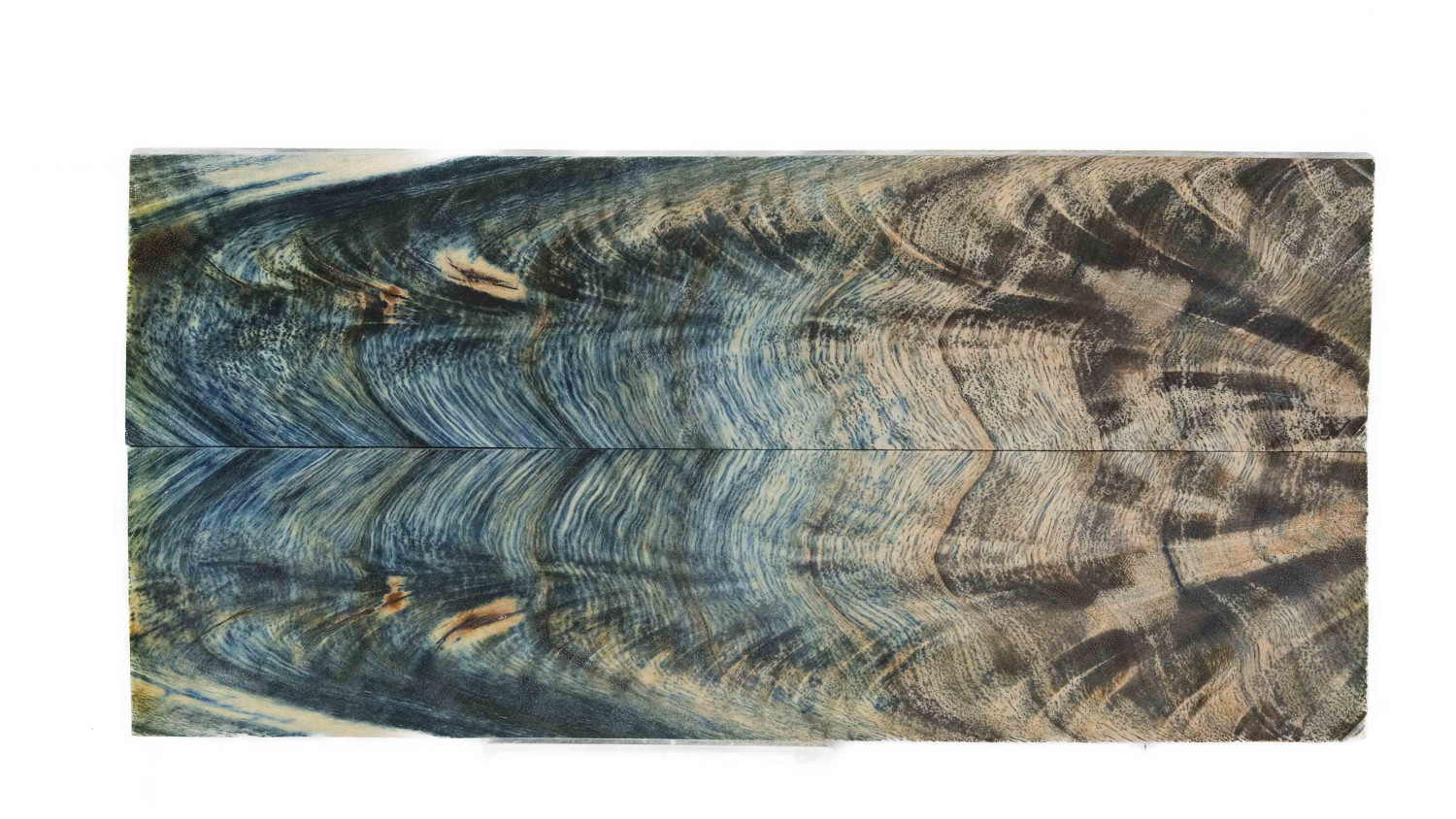 25070010