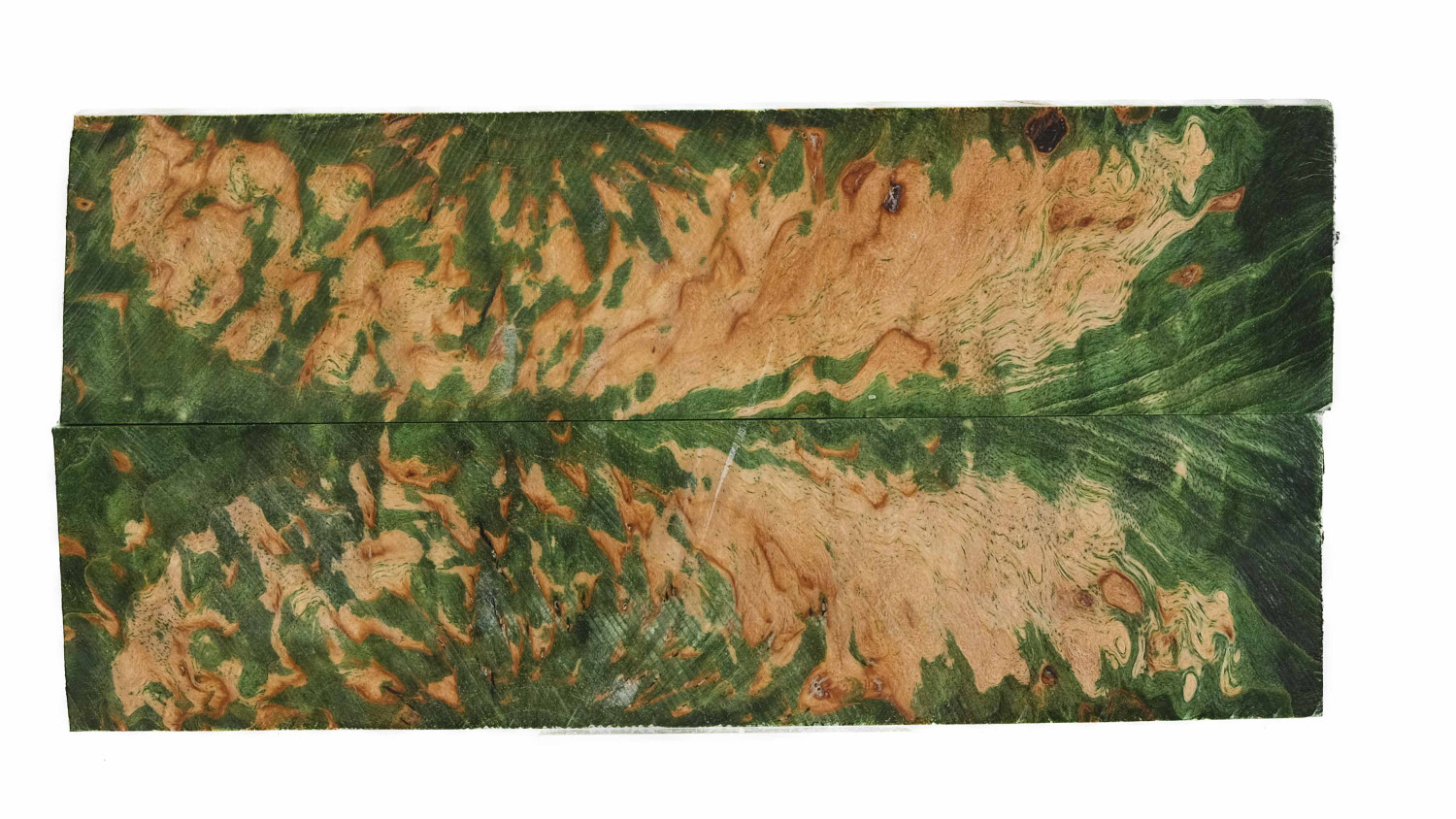25070024