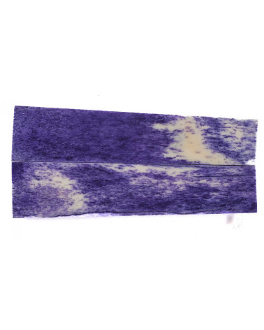 25070170