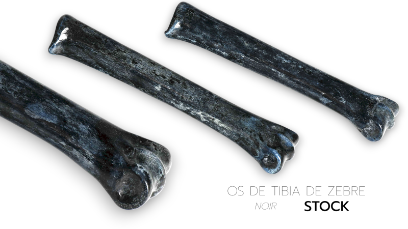 Tibia de Cebra Estabilizada - Multicolor - África del Sur