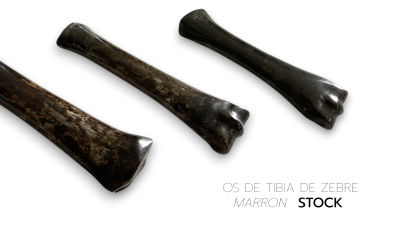Tibia de Zébre Stabilisé - multi-couleur - Afrique du Sud