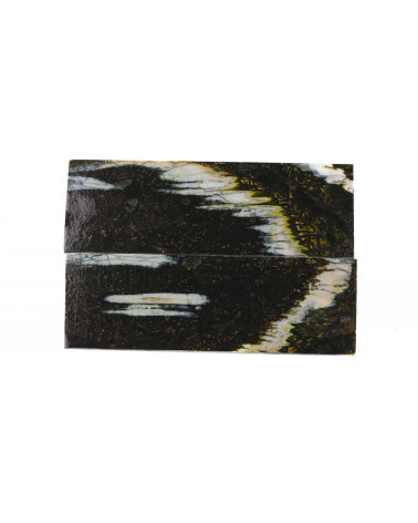 25080161