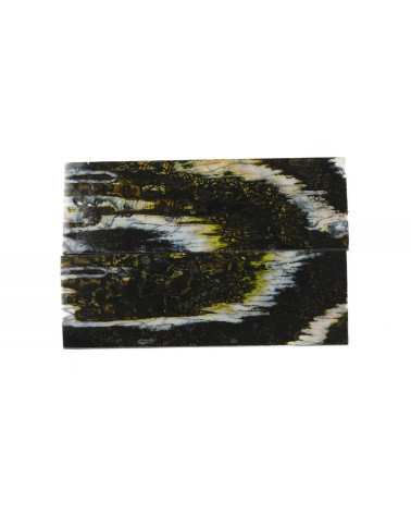 25080161