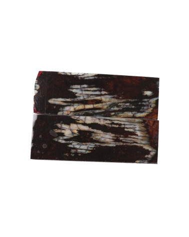 25080164