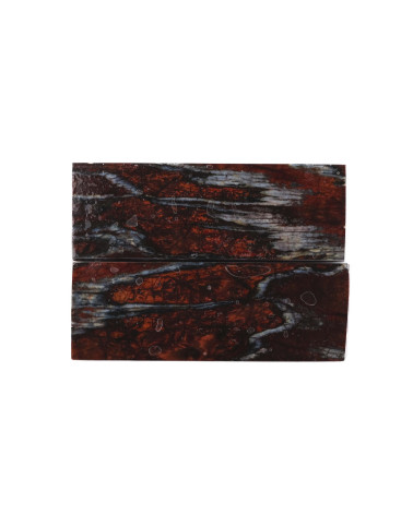 25080166