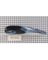 25080131