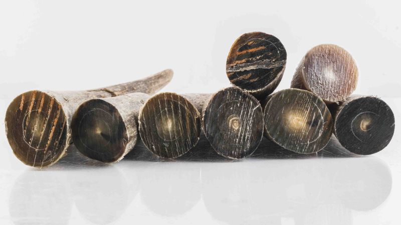 Punta negra Zebu: un material resistente y estético para sus creaciones