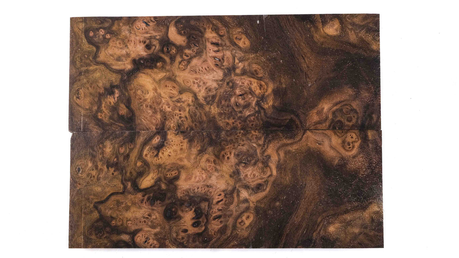 25080003