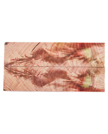 25080031