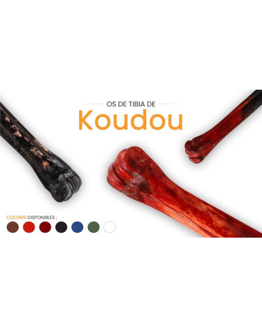 Tibia de Koudou Estabilizada - Multicolor - África del Sur