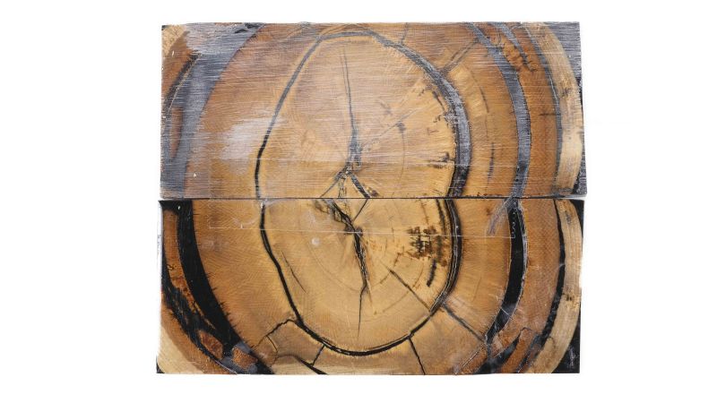 Manche Ivoire de mammouth stabilisé debout -résine noire