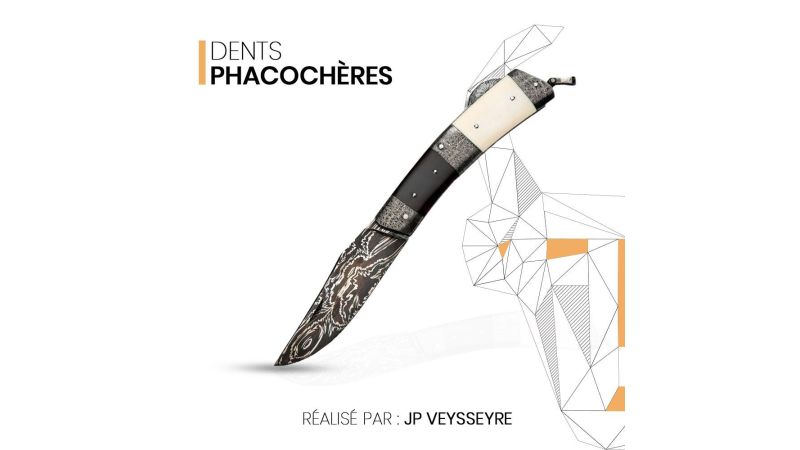Manico di dente di facocero