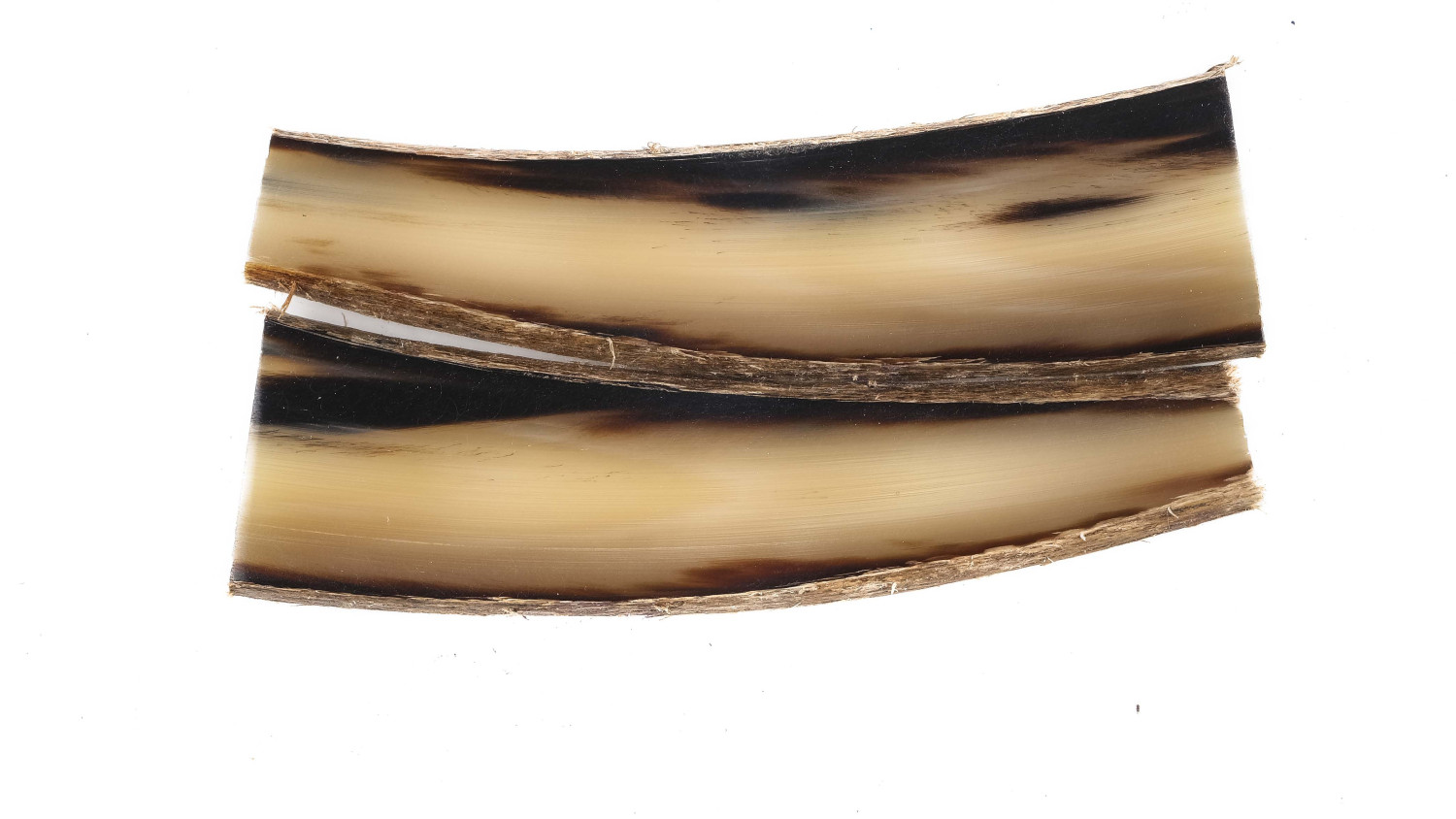 25090159