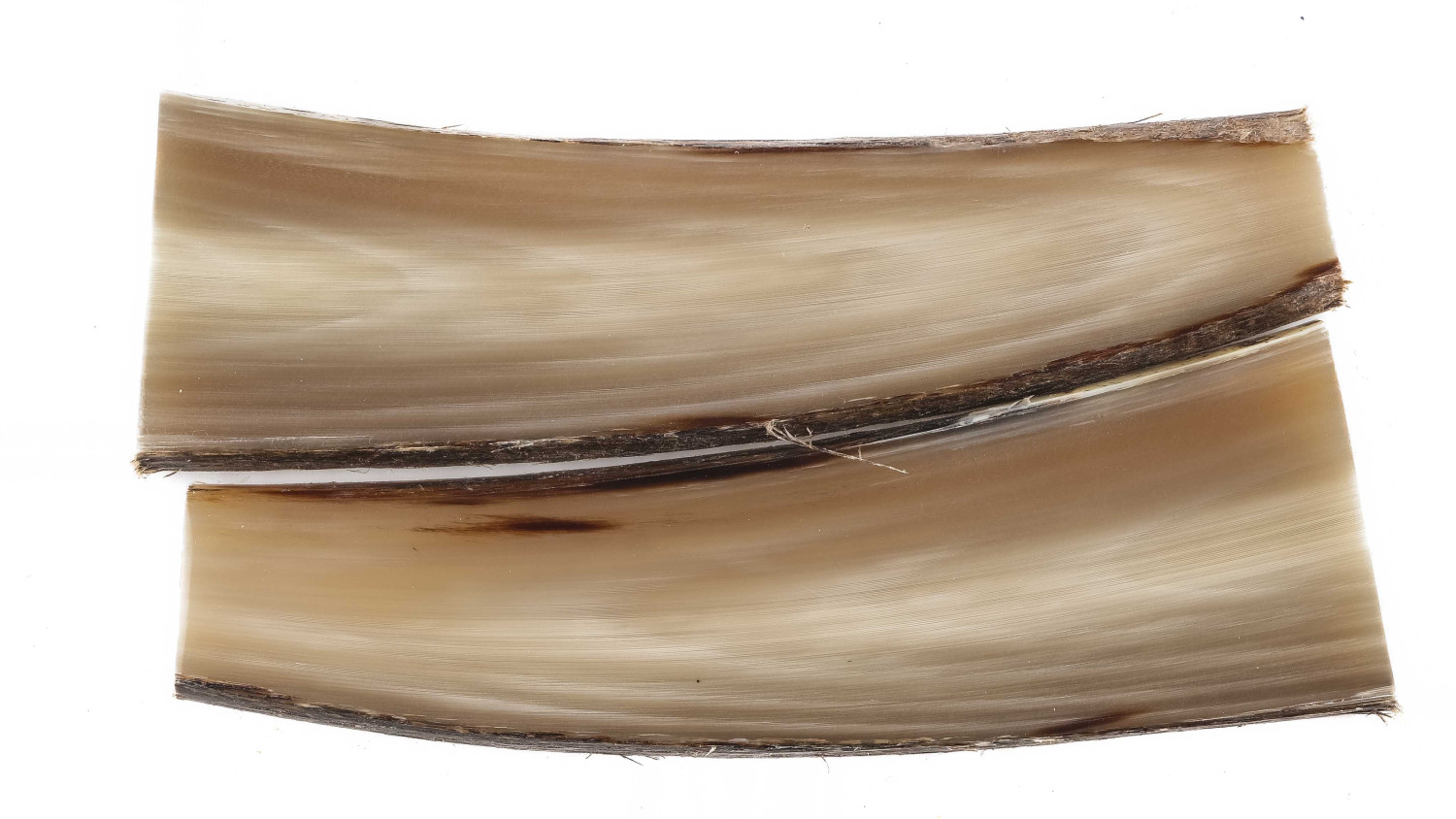 25090160