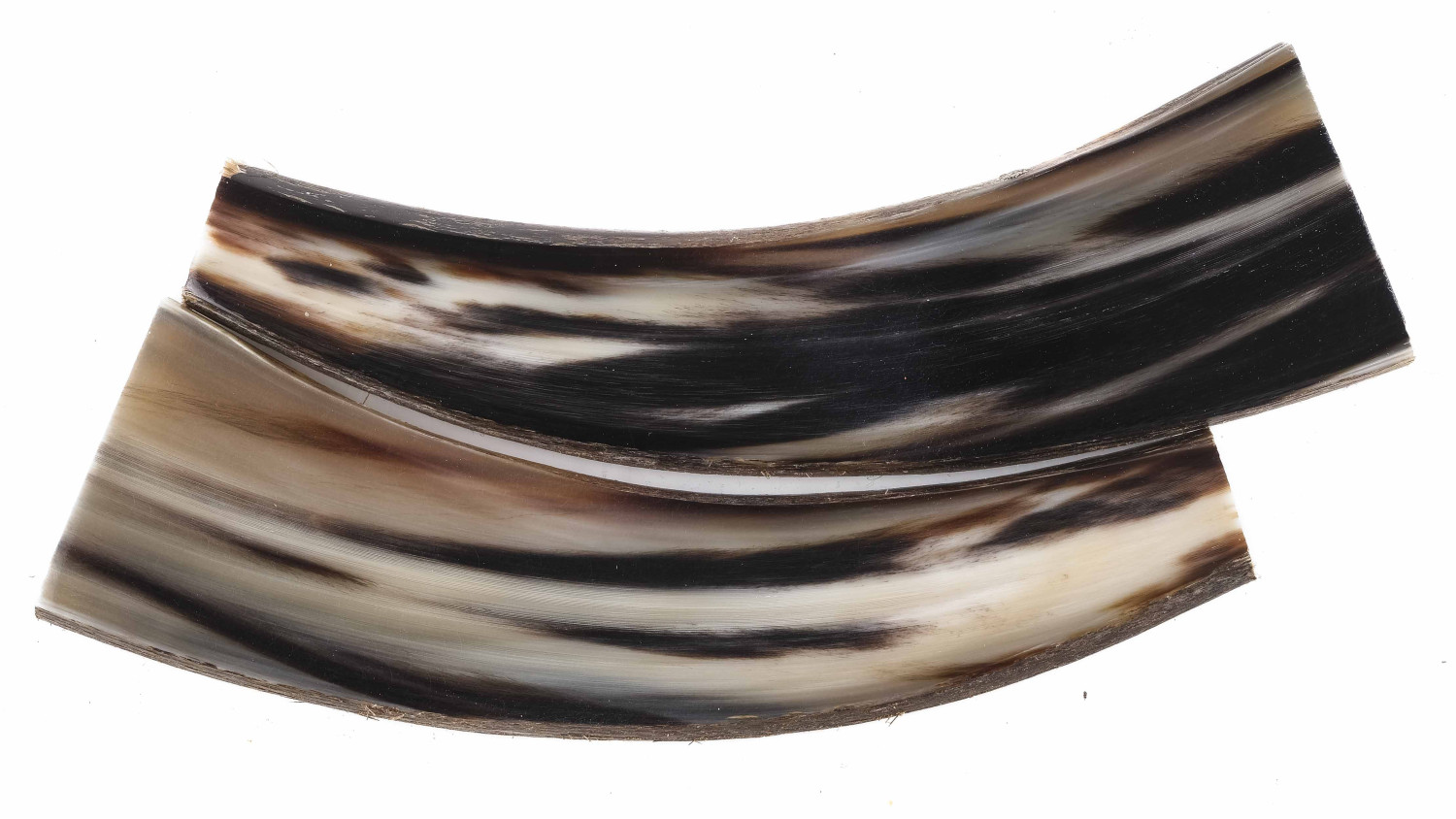 25090161