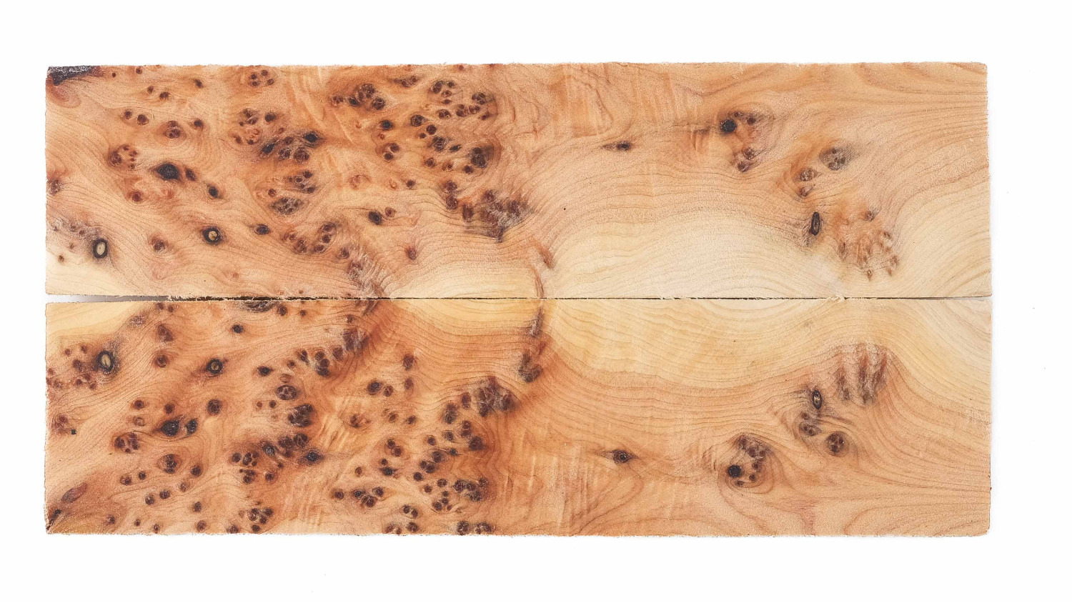 25090193
