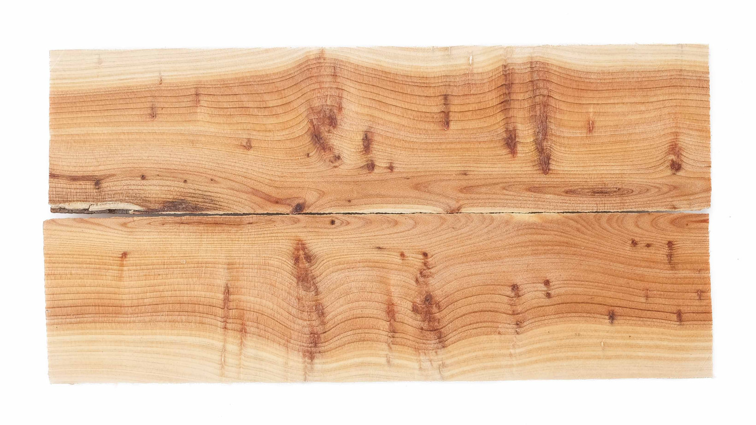 25090199