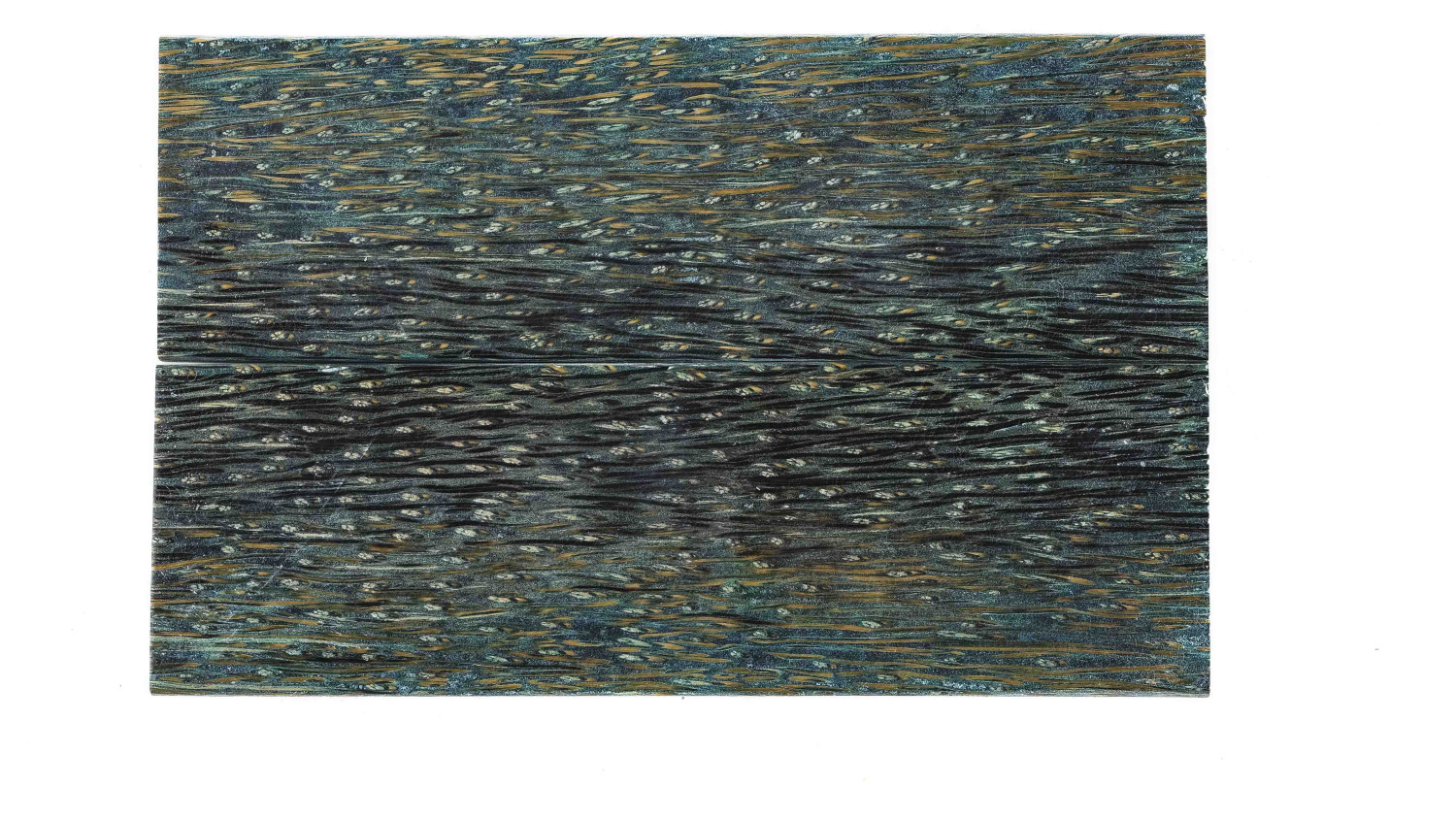 25090129