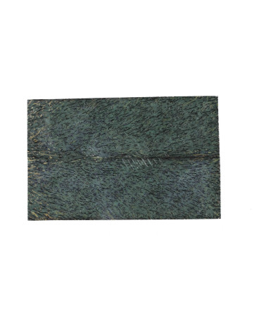 25090131