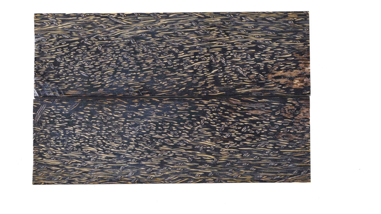 25090132
